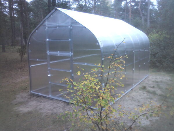 Klassika Viil Klassika Viil